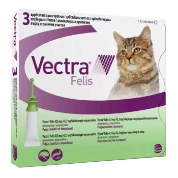 Ceva Vectra Felis trattamento spot-on contro le pulci per gatti – 3 pipette