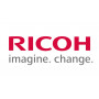 Ricoh sviluppatore giallo (D0BM3003)