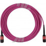 BlueOptics Dell GZ8J5TE Cavo patch MPO-MPO multimodale OM4 1 metro