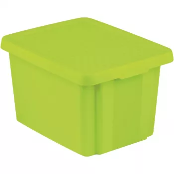 CURVER Essentials 26L scatola contenitore con coperchio, verde, 44 x 34 x 27 cm