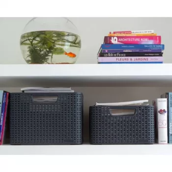 CURVER Style L scatola portatutto 43,6 x 32,6 x 23 cm grigio scuro
