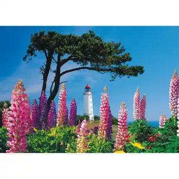 Schmidt Spiele Dornbusch Leuchtturm, Hiddensee puzzle 1000 pezzi