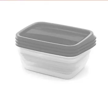 CURVER set di scatole per conservazione rettangolari 3x1L Vedo trasparente grigio