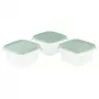 Curver Fresh&Go Set scatole per alimenti quadrate 3 pezzi 3x1,2L verde
