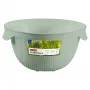 CURVER Kitchen Essentials colino, verde