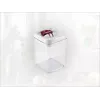 LEIFHEIT Fresh&Easy contenitore ermetico per alimenti 1,6L, senza BPA, trasparente con coperchio verde