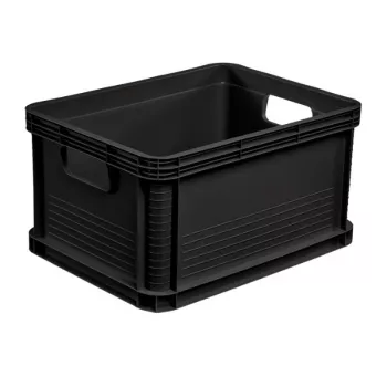 keeeper Robert scatola trasporto 20L, 40 x 30 x 22 cm, grafite, portata fino a 30 kg