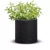 KETER 29197833939 Fioriera cilindrica grigio 12L vaso da fiore in resina resistente con drenaggio