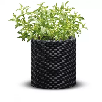 KETER 29197833939 Fioriera cilindrica grigio 12L vaso da fiore in resina resistente con drenaggio