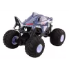 LEAN TOYS grande auto off-road radiocomandata 2,4G RC 1:6 Shark