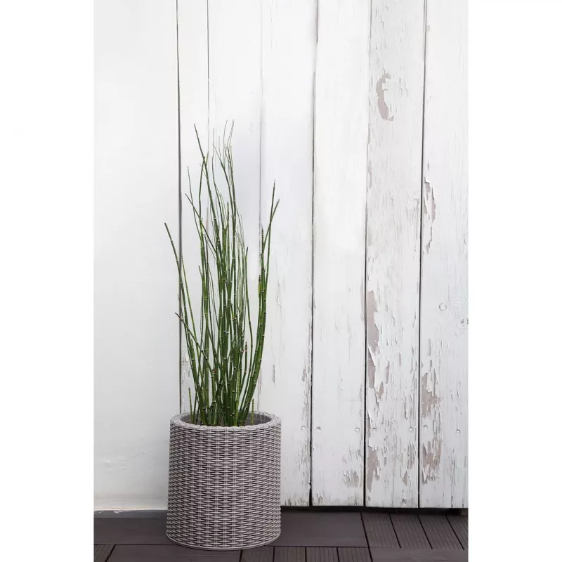 KETER vaso piccolo cilindrico fioriera grigio chiaro