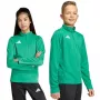 Felpa adidas Entrada 26 Trainingsshirt bambino verde JZ6632 116cm
