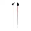Bastoncini Nordic Walking Pro Trainer 110cm Viking rosso/nero