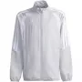 Felpa bambino adidas Tiro 26 League Presentation grigio chiaro JZ9053 164cm