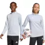 Felpa bambino adidas Entrada 26 Training Top grigio chiaro JZ6637 152cm