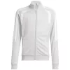Felpa da training adidas Tiro 26 League Training per bambino grigio chiaro JY7198 152cm