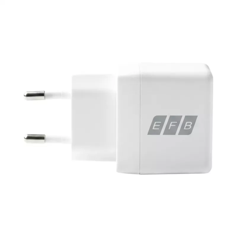 EFB Elektronik G301CE set caricabatterie USB-C GaN 30W con cavo USB-C 2m, bianco