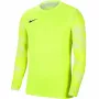 Nike Dry Park IV JSY LS GK Junior lime felpa portiere CJ6072 702 XS