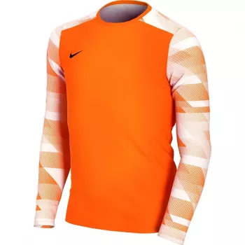 Nike Dry Park IV JSY LS GK Junior felpa portiere arancione CJ6072 819