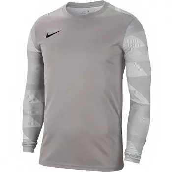 Nike Dry Park IV JSY LS GK junior felpa portiere grigio CJ6072 052 S