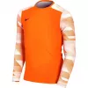 Nike Dry Park IV JSY LS GK Junior felpa portiere arancione CJ6072 819 XL