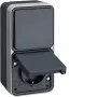 Hager WNC082 combinazione deviatore e presa SCHUKO da incasso, grigio