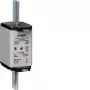 HAGER LNH2080MK fusibile NH 80A 500V gG misura 2C con indicatore