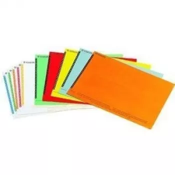 LEITZ Esselte etichette per classificatori sospesi per armadi, bianco, 60 x 12 mm, 100 etichette (326400)