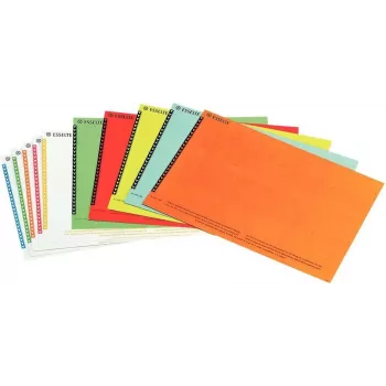 LEITZ Esselte etichette per classificatori sospesi per armadi, bianco, 60 x 12 mm, 100 etichette (326400)