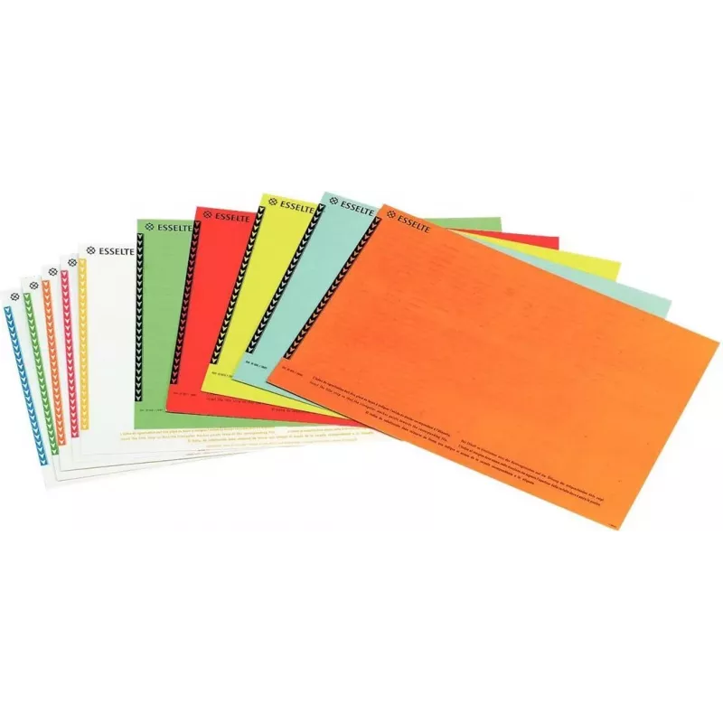 LEITZ Esselte etichette per classificatori sospesi per armadi, bianco, 60 x 12 mm, 100 etichette (326400)