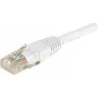EXERTIS CONNECT Cavo patch CAT.6 U/UTP, 2 m, bianco, RJ45, protezione linguetta 246785