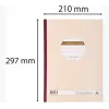 Le Dauphin Manifold Commandes, 297 x 210 mm, tripli (1273D) - 1 pezzo