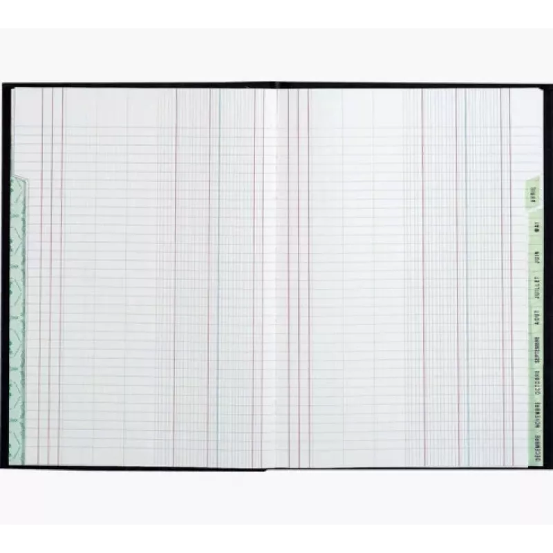 Le Dauphin agenda A4, 96 pagine, 12 colonne, copertina verde 39721D