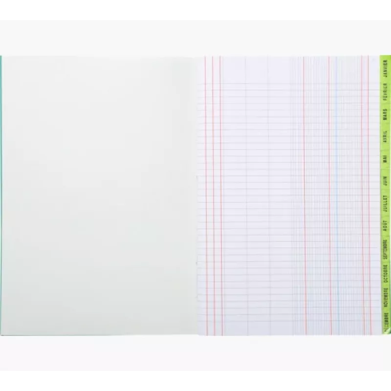 Le Dauphin agenda A4, 96 pagine, 12 colonne, copertina verde 39721D