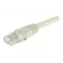 Dexlan cavo patch di rete RJ-45 Cat6 U/UTP, 2 m, grigio 854184