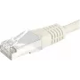 Exertis Connect 856810 Cavo patch Cat6 S/FTP, 0,15 m, grigio
