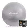 SCHILDKROT palla da ginnastica 65 cm argento Anti-Burst 960156