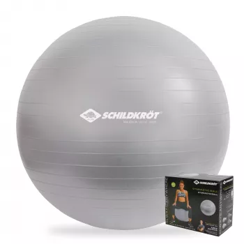 SCHILDKROT palla da ginnastica 65 cm argento Anti-Burst 960156