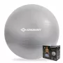 SCHILDKROT palla da ginnastica 65 cm argento Anti-Burst 960156