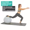 SCHILDKROT palla da ginnastica 65 cm argento Anti-Burst 960156