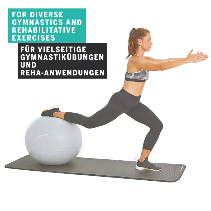 SCHILDKROT palla da ginnastica 65 cm argento Anti-Burst 960156