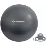 SCHILDKRÖT palla da ginnastica 750 mm antracite Anti-Burst 960157
