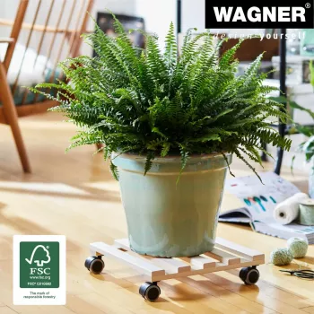 Wagner design yourself Carrello portapiante GH 0438, quadrato, legno di faggio massello, 34 x 34 x 8 cm, 4 ruote piroettanti, portata 100 kg, naturale, personalizzabile 20043801