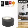 Wagner Design Yourself EH 5181 Fermaporta da pavimento, pressofusione di zinco con tampone in gomma, nichel opaco, 50 mm 15518111