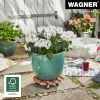 Wagner design yourself Carrello portapiante WPC GH 0535 rotondo marrone 29 x 7,5 cm 20053501