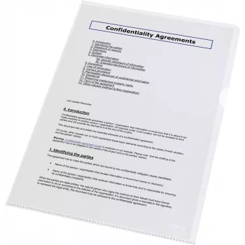 LEITZ Esselte Standard Plus buste perforate A4, confezione da 100, trasparente, polipropilene 56218