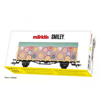 Märklin 048884 DRG G 10 carro merci coperto H0 AC Epoca II marrone
