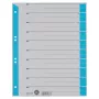 LEITZ A4 Divisori in cartoncino azzurro, confezione da 25, foratura universale 16523030