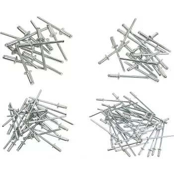 Brüder Mannesmann Assortimento di rivetti ciechi 600 pezzi (1097-S)