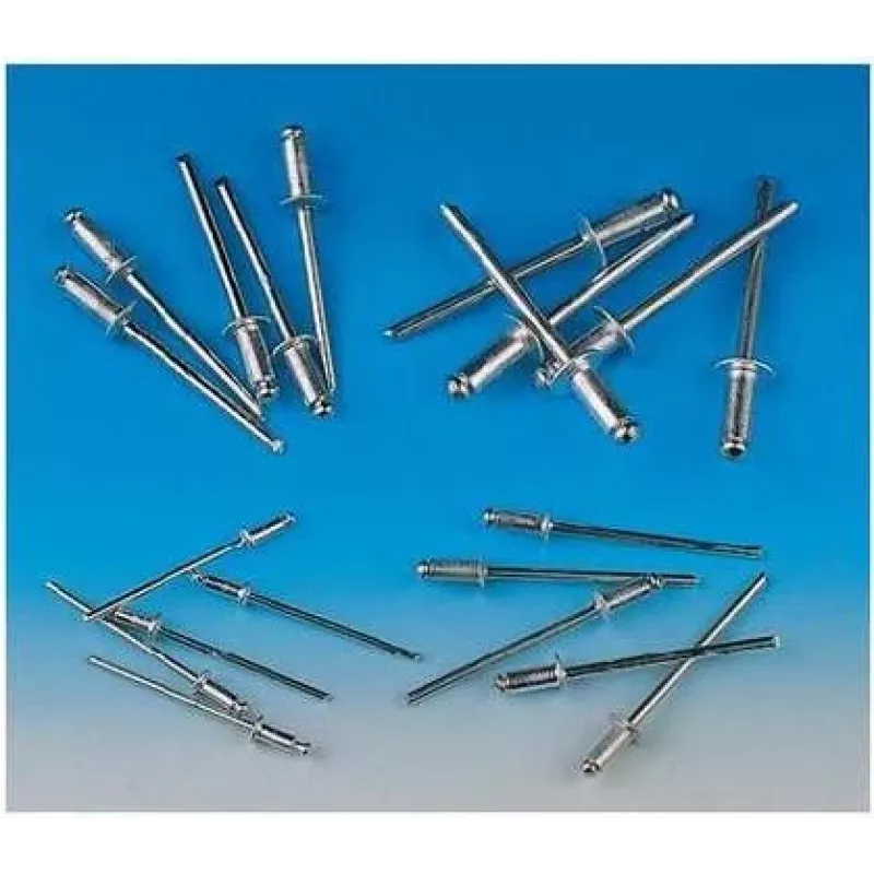 Brüder Mannesmann Assortimento di rivetti ciechi 600 pezzi (1097-S)
